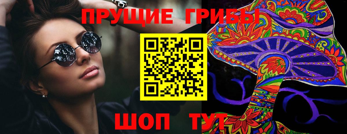 Сокол  Псилоцибиновые грибы Cubensis  Вход с VPN  Псилоцибиновые грибы Magic Shrooms 